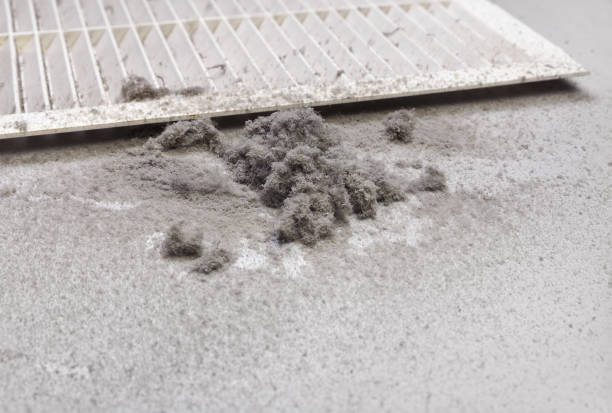 Best Affordable Duct Cleaning Services  in Fruitdale, CA
